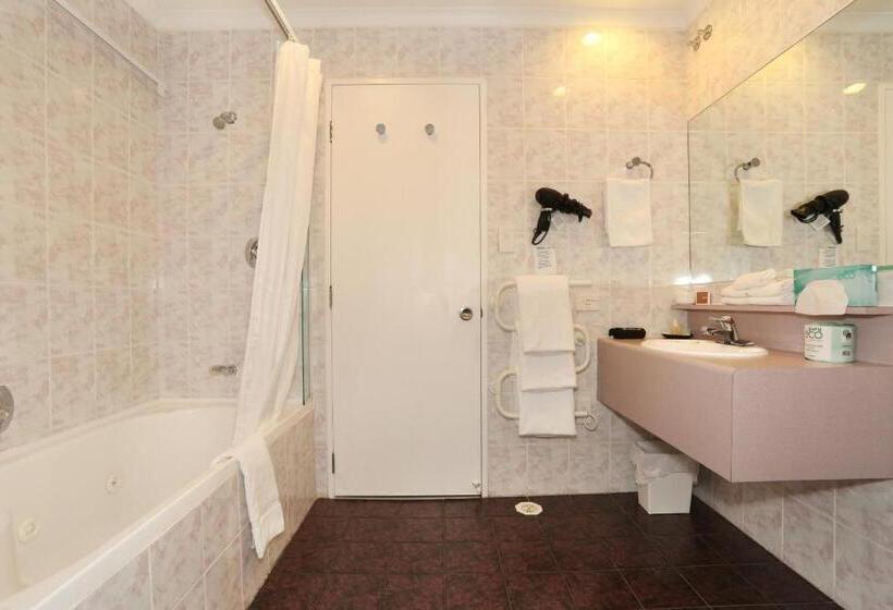 شقة غرفة واحدة, Shadzz Motel