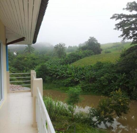 스탠다드 룸, Dr. House