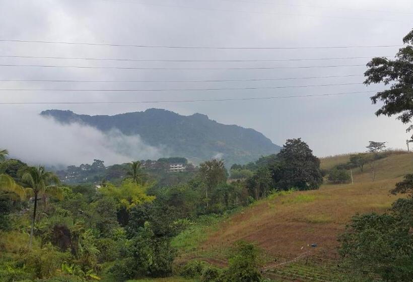 스탠다드 룸, Dr. House