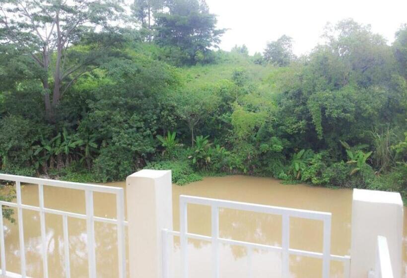 스탠다드 룸 강 전망, Dr. House