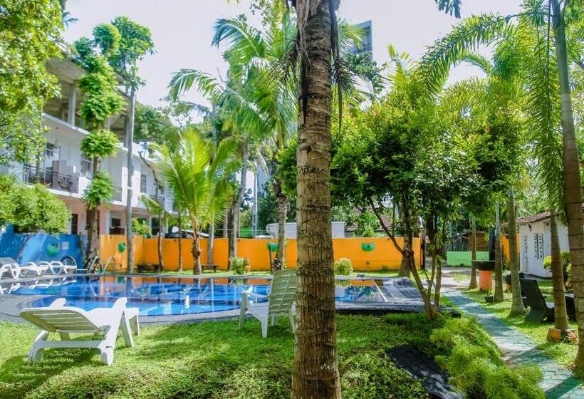 디럭스 룸 가든 전망, A One Calm Palace