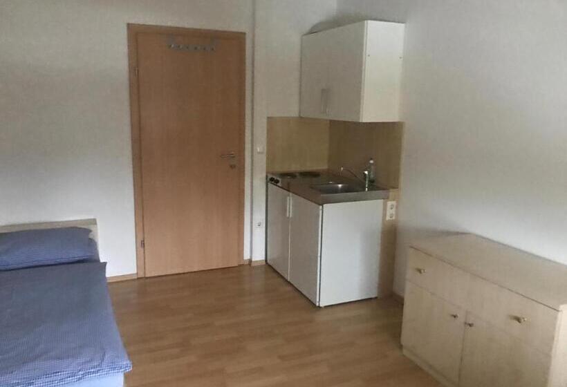اتاق اکونومی یک تخته, Montagehotel Living@linz