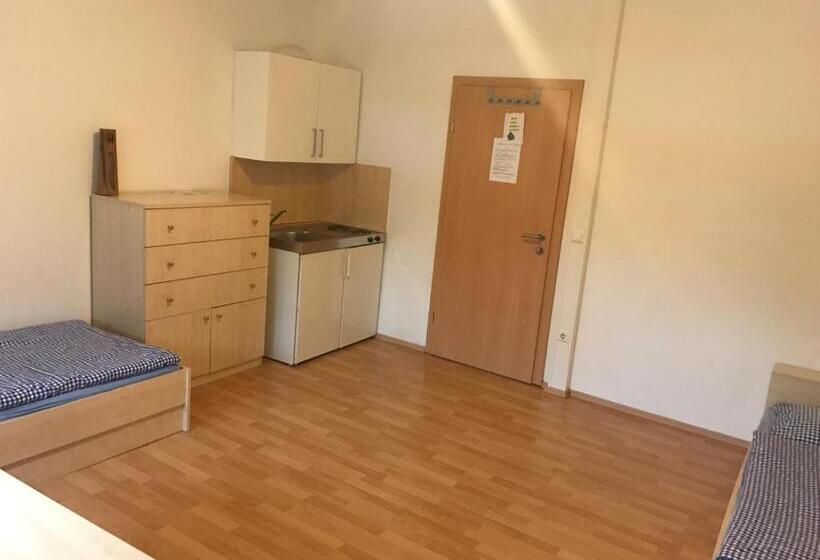 اتاق اکونومی, Montagehotel Living@linz