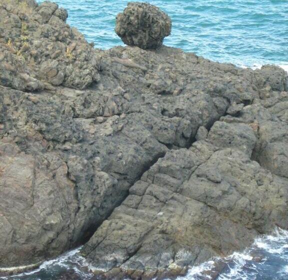 标准三人间, Villa Victoria