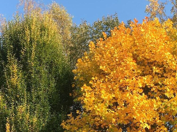 スタンダードシングルルーム, Antjes Schmankerlhotel Und Restaurant