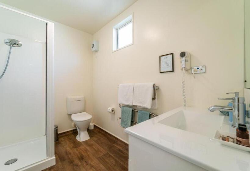 带1个卧室的公寓, City Centre Motel