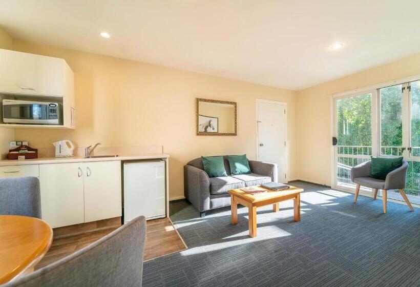 带1个卧室的公寓, City Centre Motel