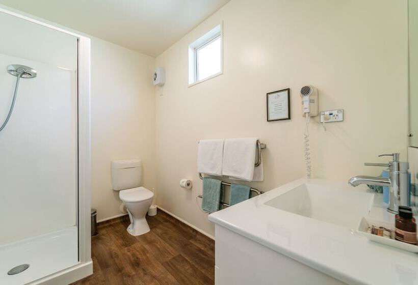 Апартаменты 1 Спальня, City Centre Motel