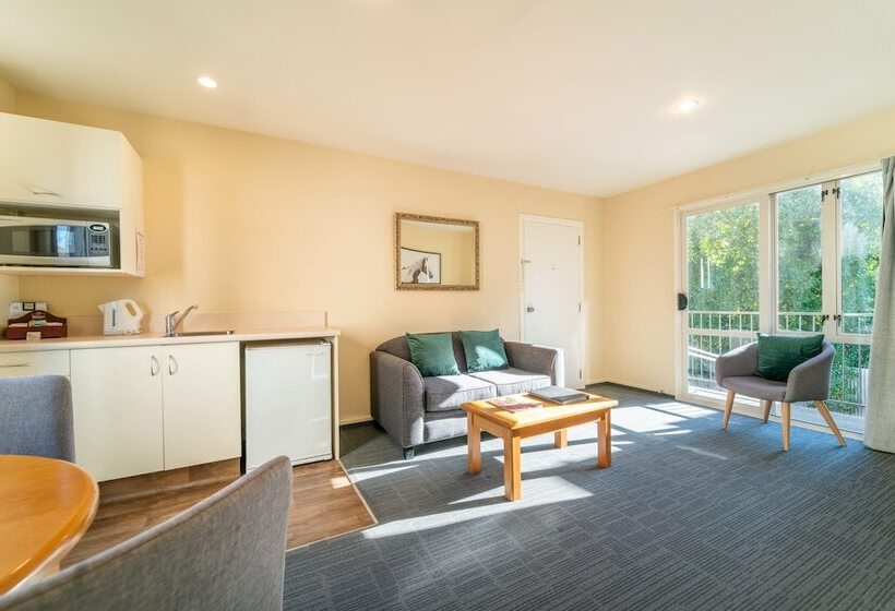 带1个卧室的公寓, City Centre Motel