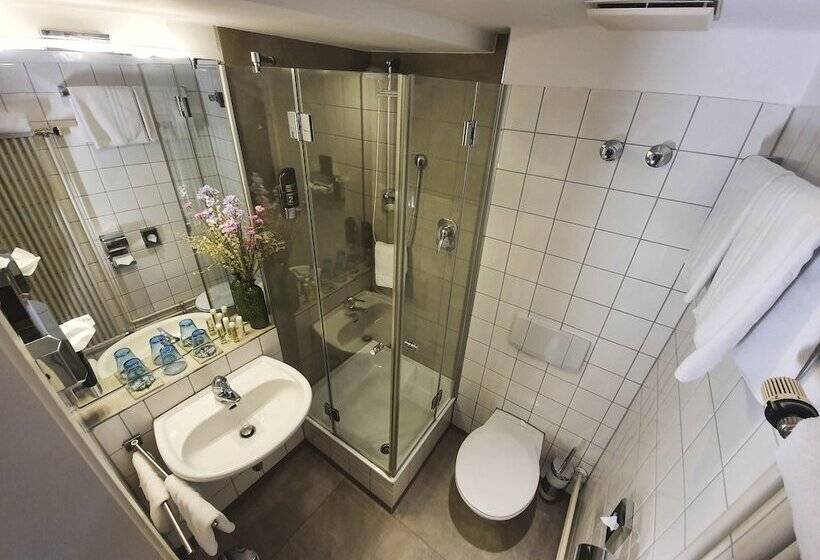 标准单人间, Goldener Falke