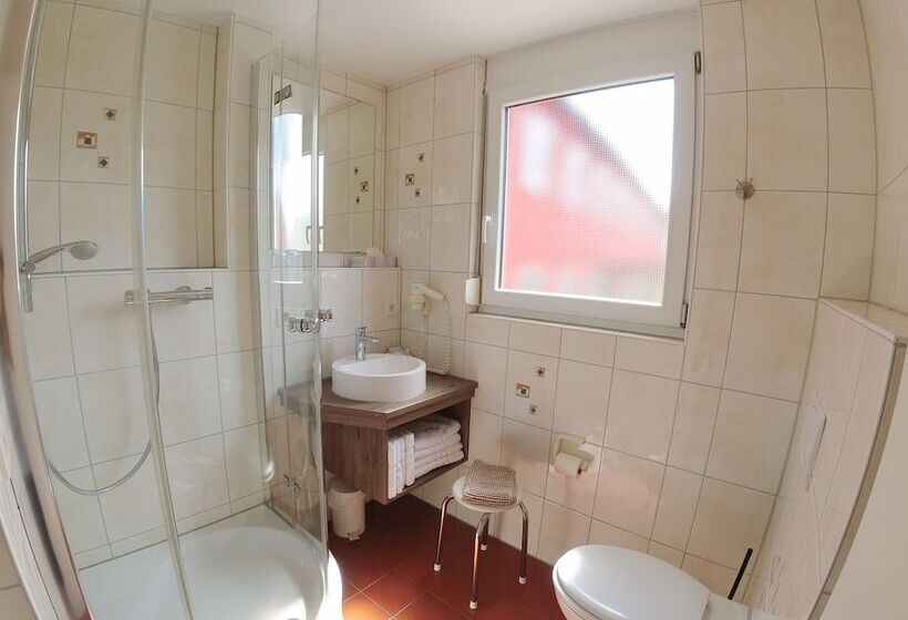 Номер Стандарт Трехместный, & Gästehaus Im Ziegelweg Klimatisiert Eintrittskarten Für Den Europa Park Erhalten Sie Garanti