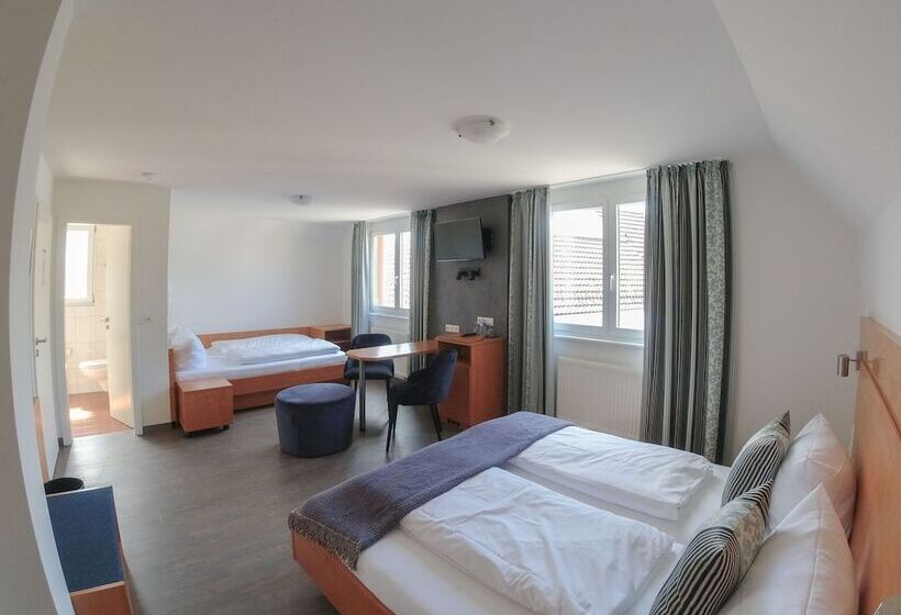 Номер Стандарт Трехместный, & Gästehaus Im Ziegelweg Klimatisiert Eintrittskarten Für Den Europa Park Erhalten Sie Garanti