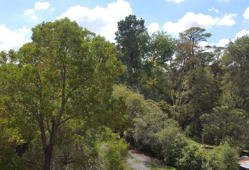 חדר סטנדרט, Hepburn Springs Motor Inn