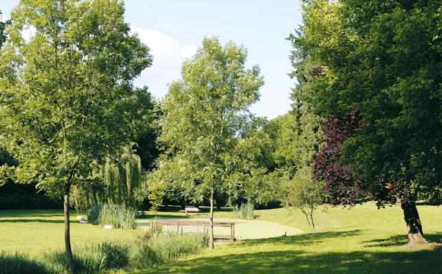 Номер Стандарт, Logis Hôtel Restaurant Le Tulipier