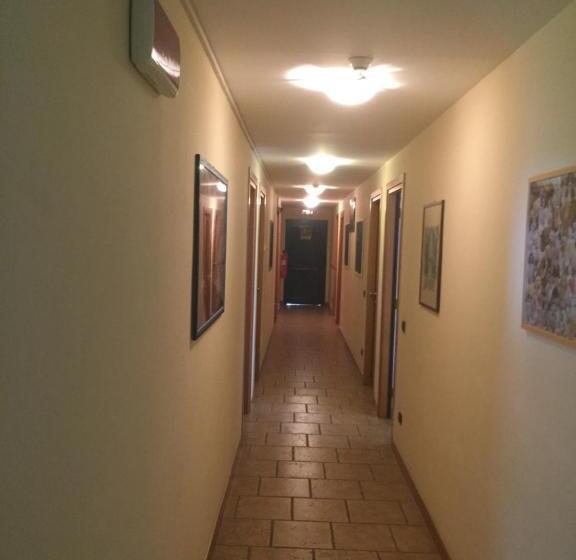 Номер Стандарт, Il Canneto