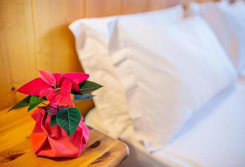 Трехместный Номер Классика, Nigritella