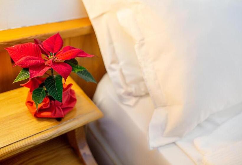 标准间, Nigritella