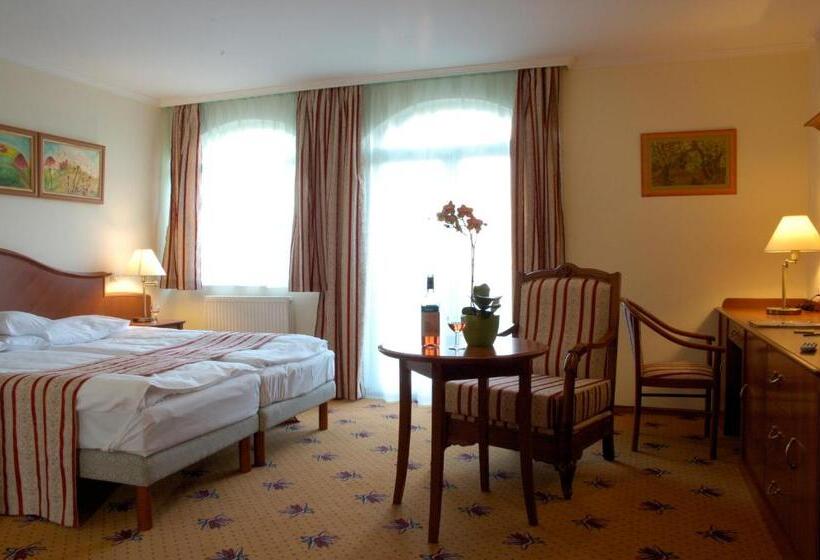 Номер Стандарт, Sante Hévíz