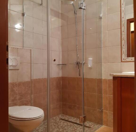 Номер Стандарт Индивидуальный, Sante Hévíz