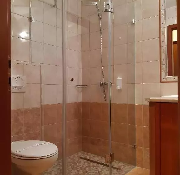 اتاق استاندارد یک نفره, Sante Hévíz