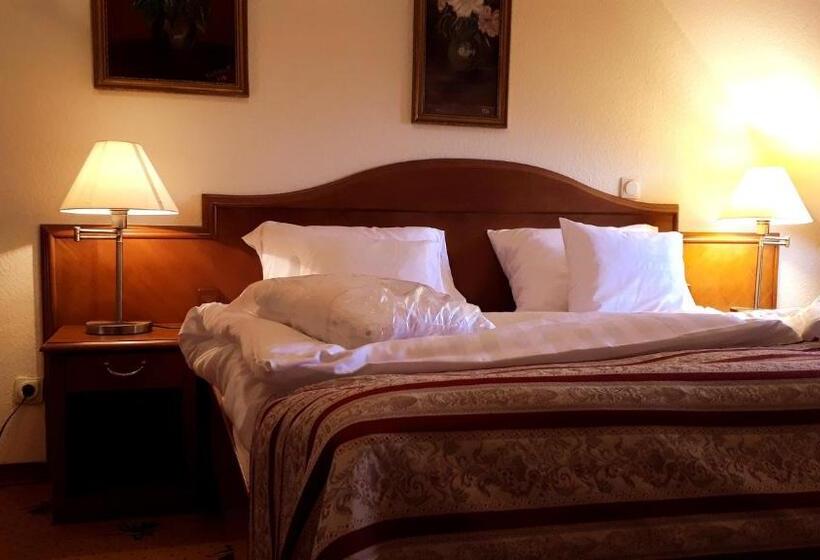 Номер Economy, Sante Hévíz