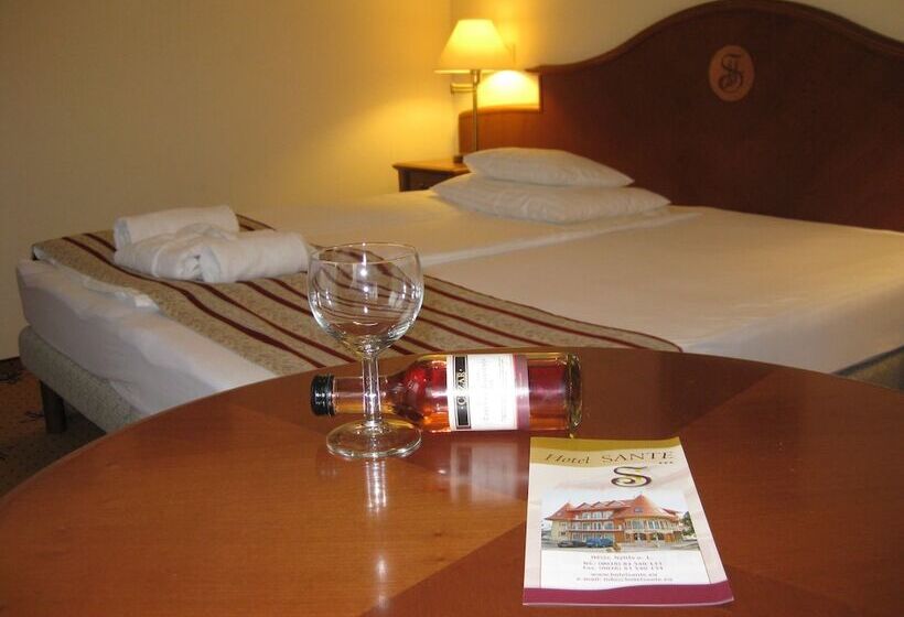 Номер Стандарт Индивидуальный, Sante Hévíz