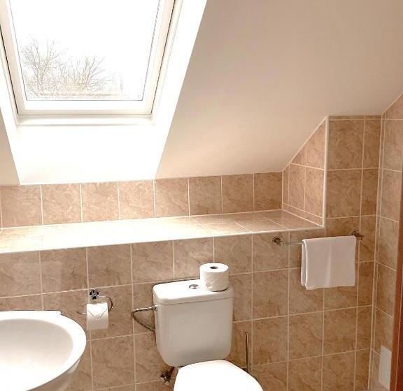 חדר סטנדרט יחיד, Golf Hotel Karolina