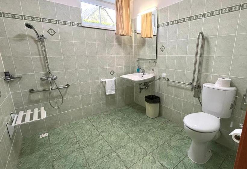 חדר סטנדרט מותאם לאדם עם מוגבלויות, Golf Hotel Karolina