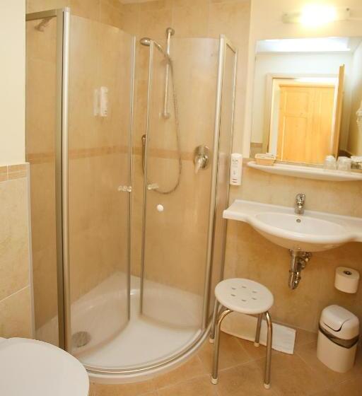 اتاق استاندارد, Airport Hotel Fortuna