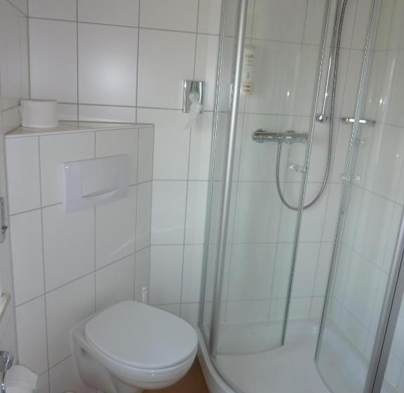 اتاق اکونومی, Airport Hotel Fortuna