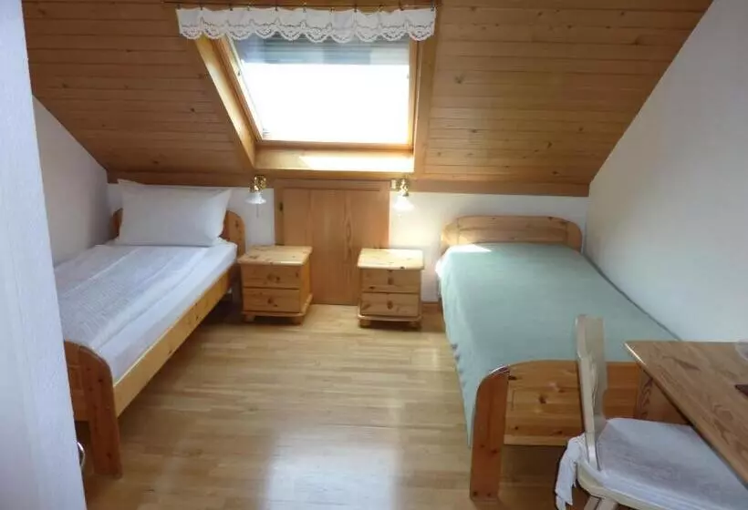 エコノミールーム, Airport Hotel Fortuna