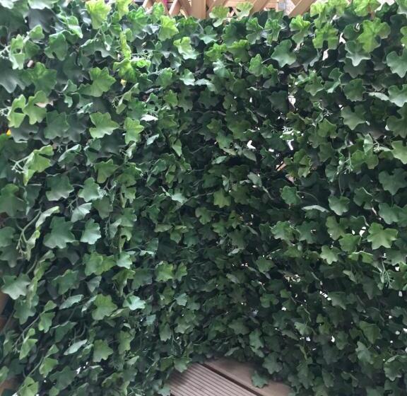 Номер Стандарт Индивидуальный, Albergo Ristorante Montebaldo