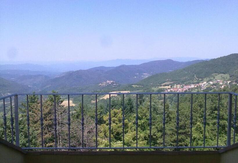 غرفة عائلية, Belvedere