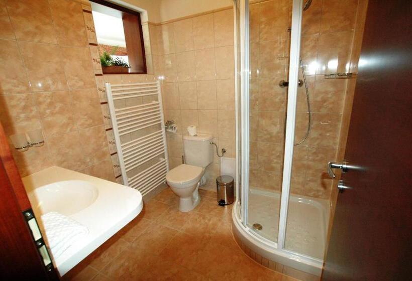 스탠다드 싱글 룸, Komorni Hurka