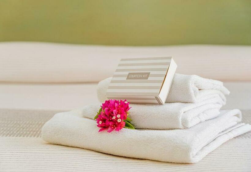 اتاق سوپریور, Marinaro