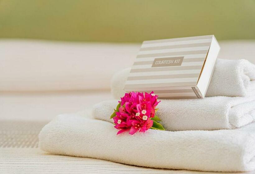 اتاق سوپریور, Marinaro