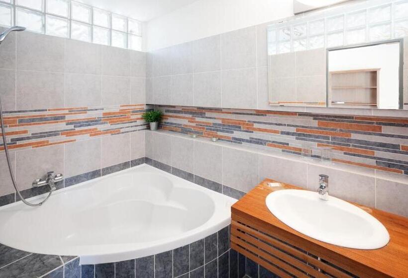 豪华工作室, Pytloun Wellness Travel