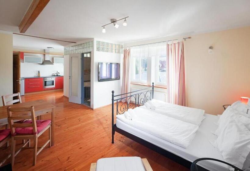 豪华工作室, Pytloun Wellness Travel