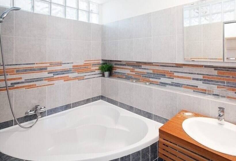 豪华工作室, Pytloun Wellness Travel