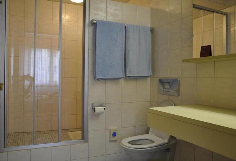 Номер Стандарт Индивидуальный, Restaurant Passage