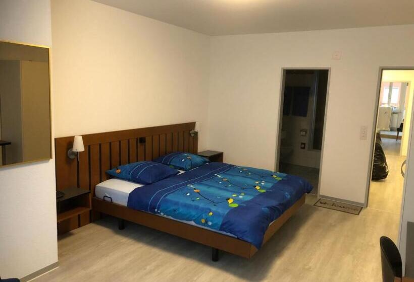 Номер Стандарт Индивидуальный, Restaurant Passage