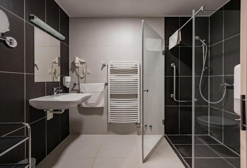 豪华房间, Vineyard Inn Szőlőskert