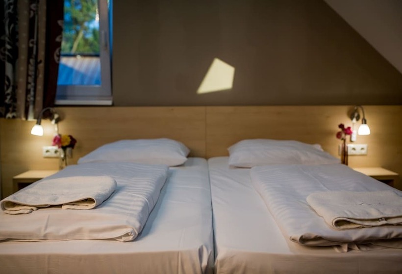 标准间, Vineyard Inn Szőlőskert