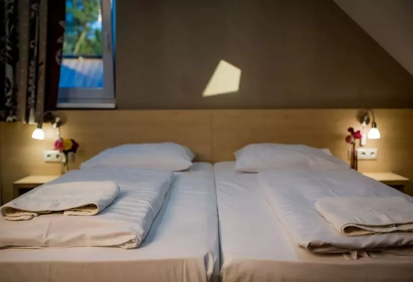 スタンダードルーム, Vineyard Inn   Szőlőskert
