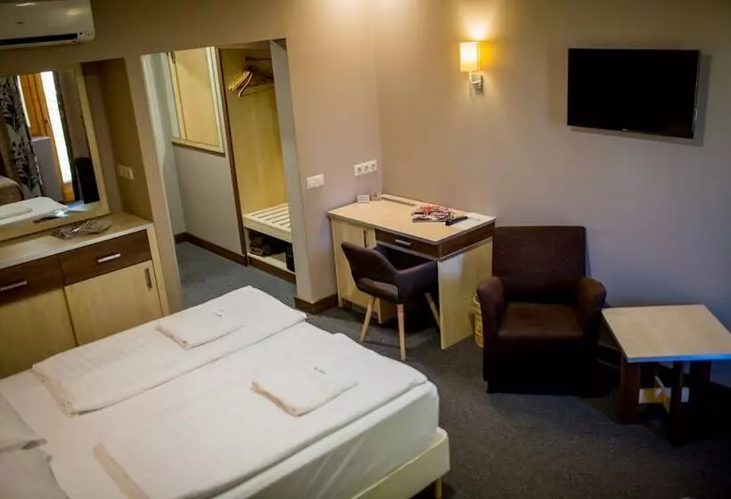 ビジネスルーム, Vineyard Inn   Szőlőskert