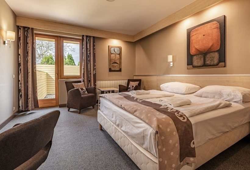 商务房间, Vineyard Inn Szőlőskert