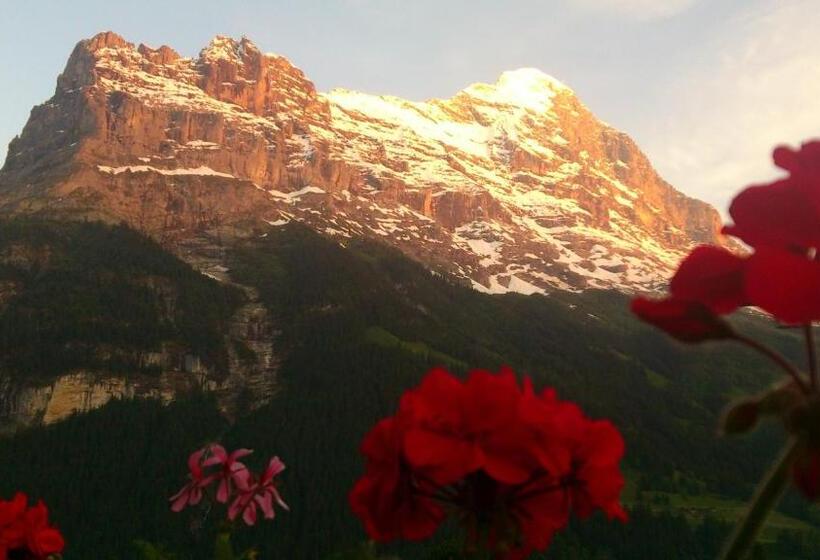 带山景的高级间, Parkhotel Schoenegg