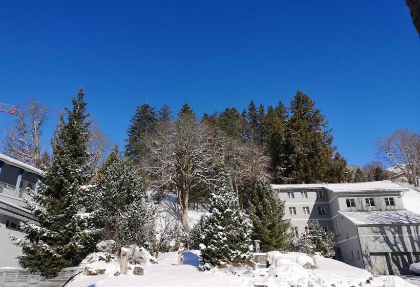 豪华园景房, Parkhotel Schoenegg