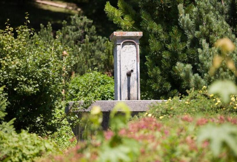 豪华园景房, Parkhotel Schoenegg