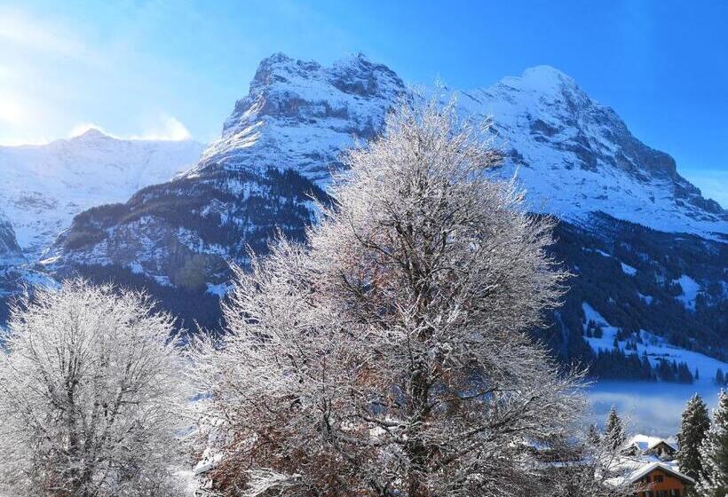 豪华单人间, Parkhotel Schoenegg